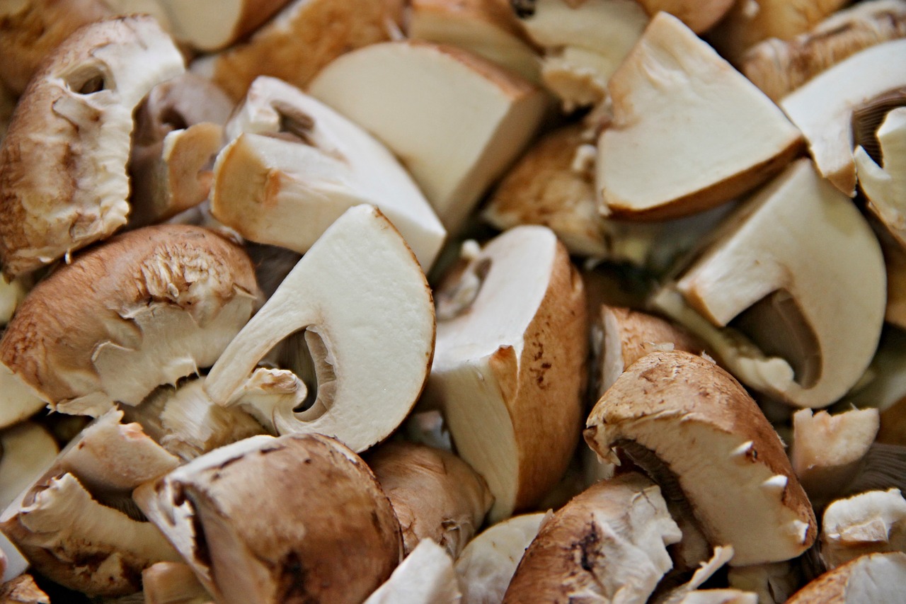 What Are The Best Mushrooms To Eat For Your Health