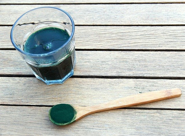 spirulina blue green algae